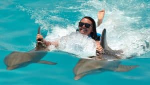 Punta Cana: Dolphin Discovery Swims and Encounters