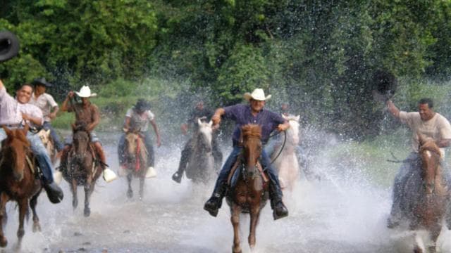 Horseback Riding Tour of Punta Cana
