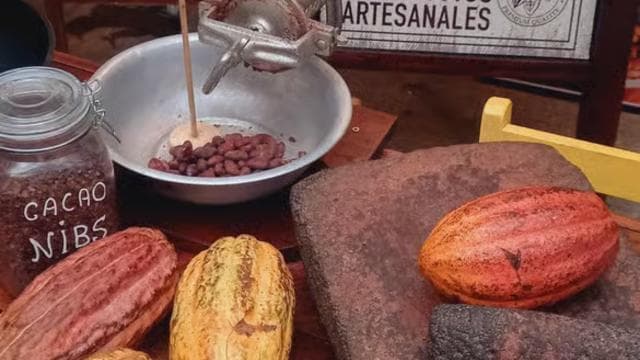 San Jose: Cacao & Chocolate Workshop