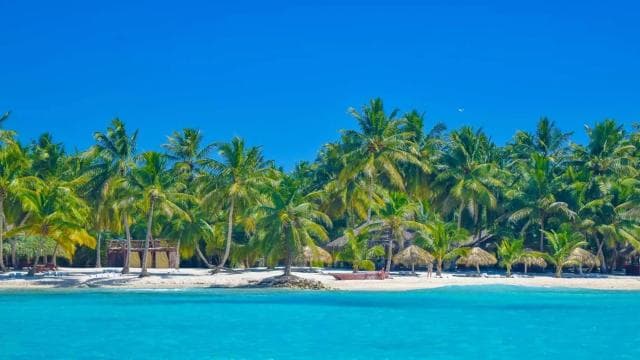 Santo Domingo to Saona: A Tropical Adventure