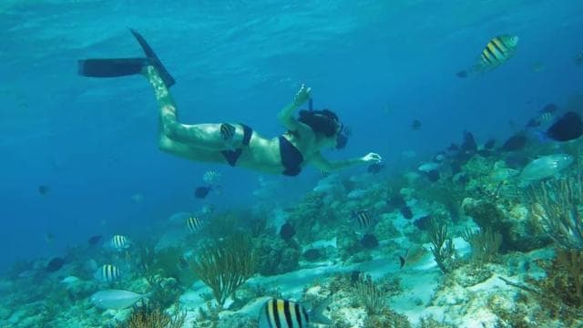 From Fajardo: Boat and Snorkeling in Culebra Island with All-Inclusive