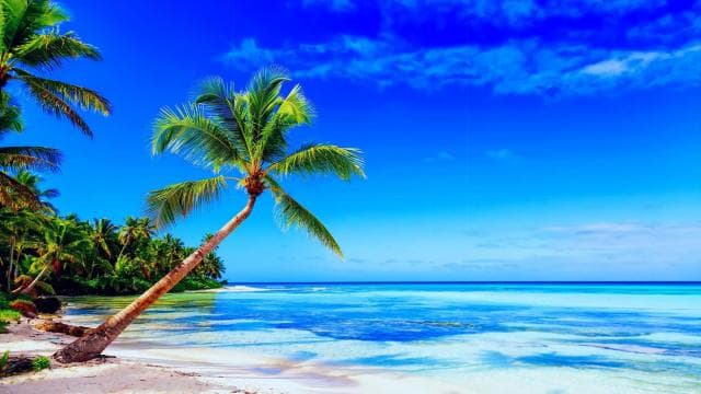 Punta Cana: Samaná Day Tour with Horse Ride and Cruise
