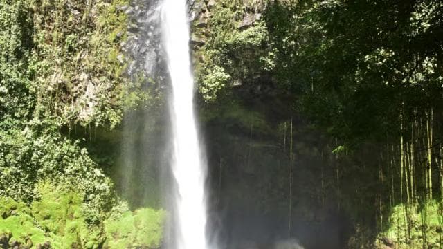 La Fortuna Waterfall: Arenal Volcano and Hanging Bridges