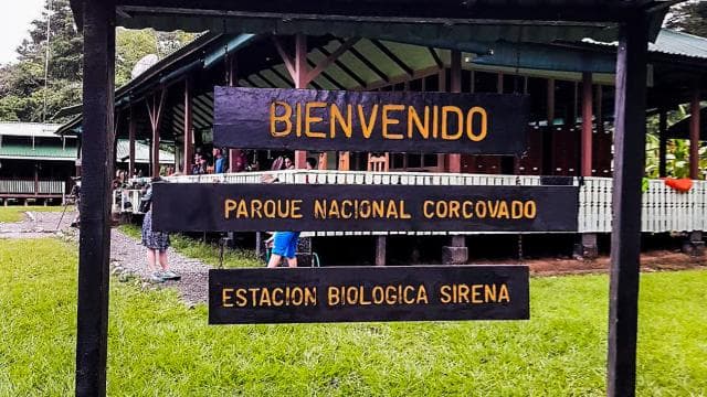 Drake Bay: Corcovado National Park and Sirena Station Tour