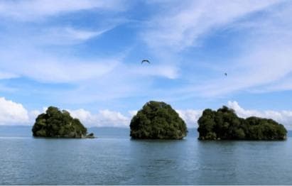 Samana: Los Haitises, Caño Hondo, Kayak Tour with Lunch