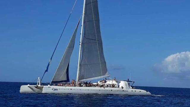 Catalina Island: Day Trip - Best Snorkeling!