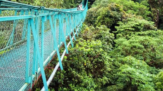 From San José: Monteverde Hanging Bridges Day Trip