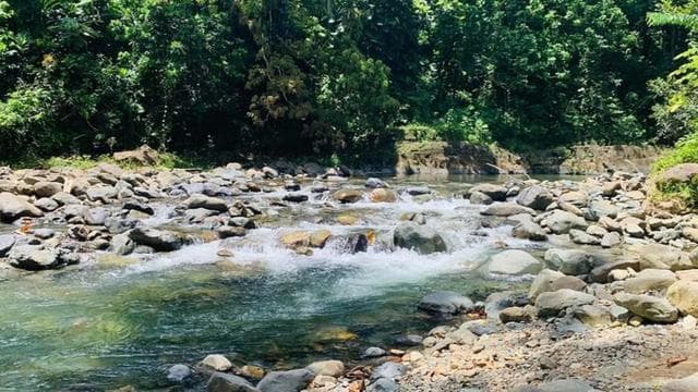 Concrete Jungle to the Actual Jungle, Complete Package Tour