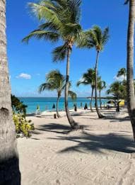 Catalina Island: Cruise, Snorkelling, Open Buffet & Drinks