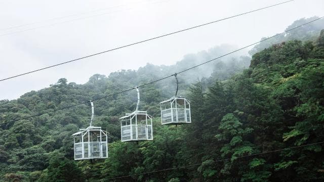 Monteverde: TreeTram Cableway and Cloud Forest Hiking Trail