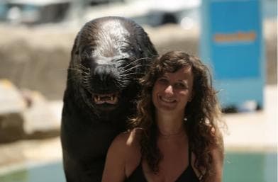 Ocean World Dolphin Swim & Sea Lion Combo from Puerto Plata