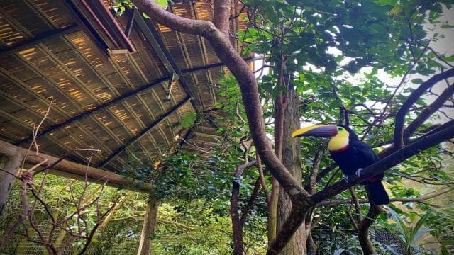 La Paz Waterfall Gardens Day Pass Ticket