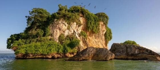  Los Haitises National Park: Boat Tour with Caves Visit