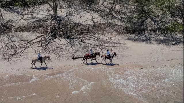Horseback Riding & Massages Beach Tour