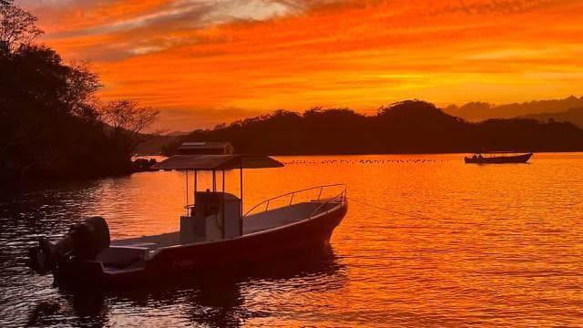 Bioluminescence Tour; Speedboat, Camping (From Puntarenas)