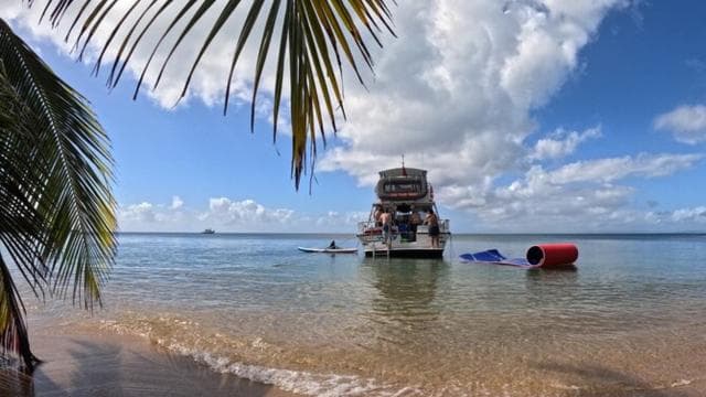 Vieque: Power Boat Turtle Snorkel and Beach Tour with Lunch