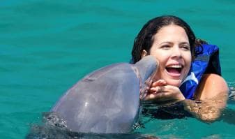 Punta Cana Dolphin Adventure: 40-Minute Interaction