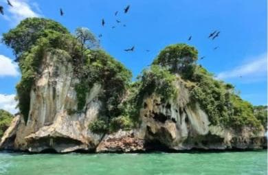 Private: Los Haitises National Park 2-Day Tour with Meals