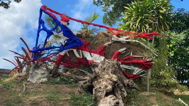 Old San Juan: Photo Hotspots Walking Tour
