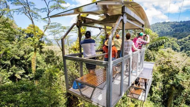 Puerto Limon: Veragua Rainforest & Tortuguero Canal Cruise