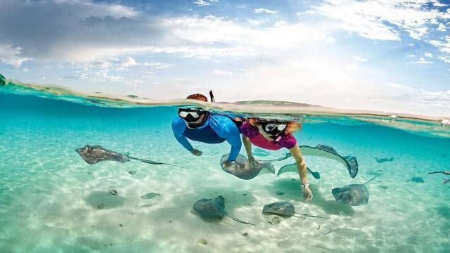 Flamingo & Tamarindo : Snorkeling at Las Catalinas Islands