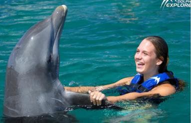 Punta Cana Dolphin Experience: 50 Minutes of Water Fun