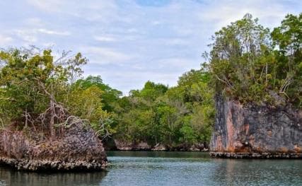 Sabana de la Mar: Los Haitises National Park Day Trip Free