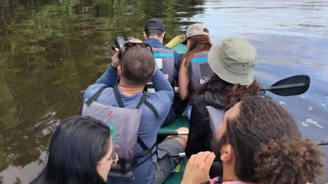 Tortuguero National Park: Canoe Tour with electric motor