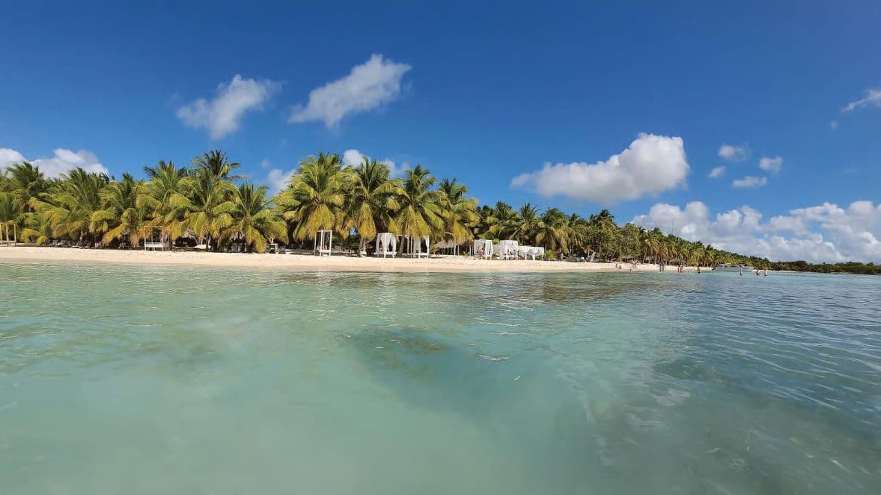 Saona Island Tour with Lunch from Santo Domingo