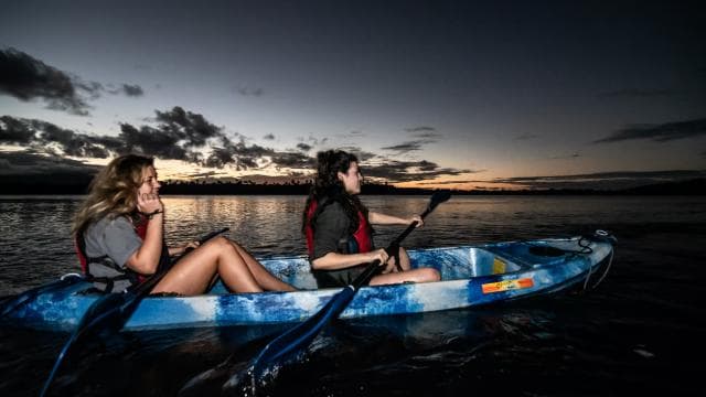From San Juan: El Yunque Rainforest & Bio Bay Kayak Combo