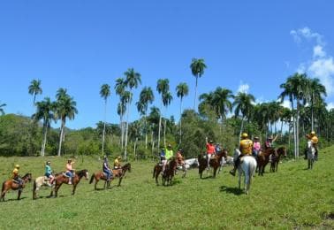 Puerto Plata Combo Experience: Zip-line + Horseback Riding