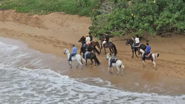 Carabalí Rainforest Park: Beach Horseback Riding