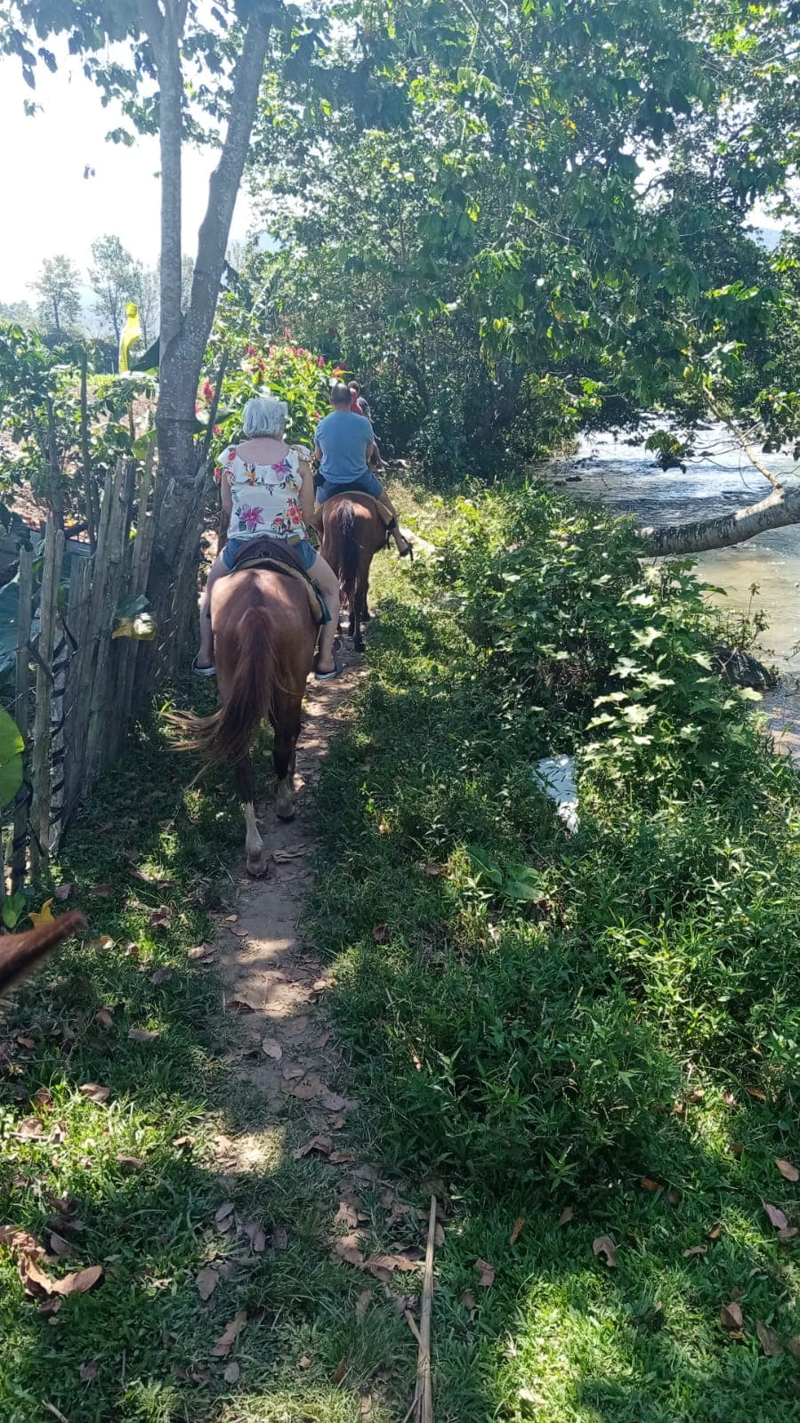 Jarabacoa: Horseride Excursion to Salto Baiguate Waterfall (Copy)