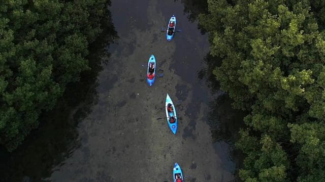 From San Juan: El Yunque Rainforest & Bio Bay Kayak Combo