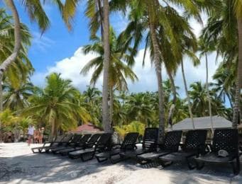 Private Day Excursion to Saona Island from Juan Dolio