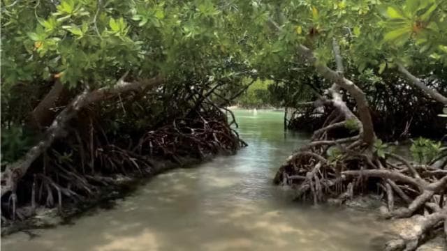 Puerto Rico: 4-in-1 Waterfalls, Beaches & Hikes Experience