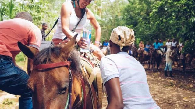 Punta Cana: Samaná Whale Watching and El Limón Day Tour