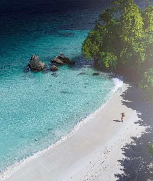  Las Galeras: Los Haitises & Cayo Levantado Tour | $79 Ecotour Adventure 