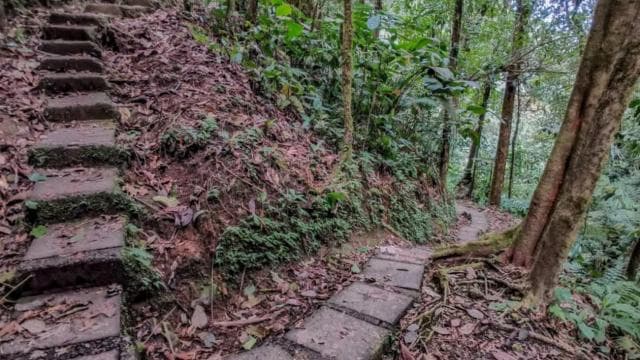 La Fortuna: 12 Canopy Zip Lines and Forest Walk Guided Trip