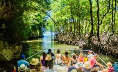 Santo Domingo: Los Haitises & Cayo Levantado Island