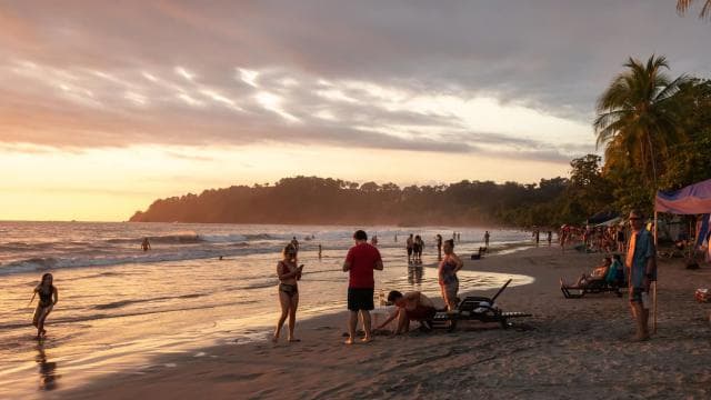San Jose: Manuel Antonio National Park Day Trip with Lunch