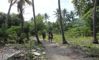 Beach horse back riding with countryside