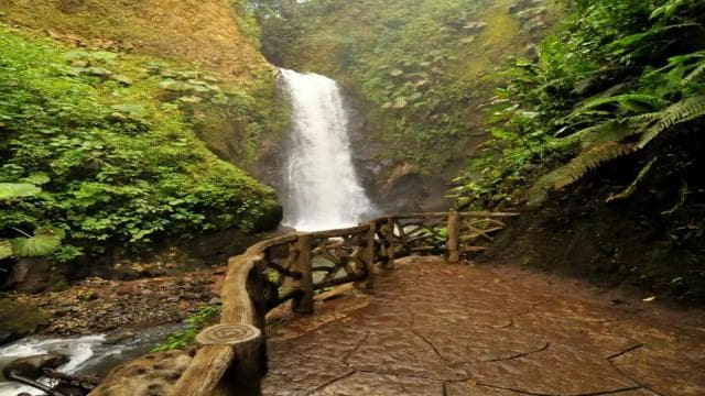 From San Jose: La Paz Waterfall Gardens Guided Day Tour