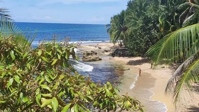 Puerto Viejo Talamanca: Hike through Gandoca Manzanillo Wild Life refuge.