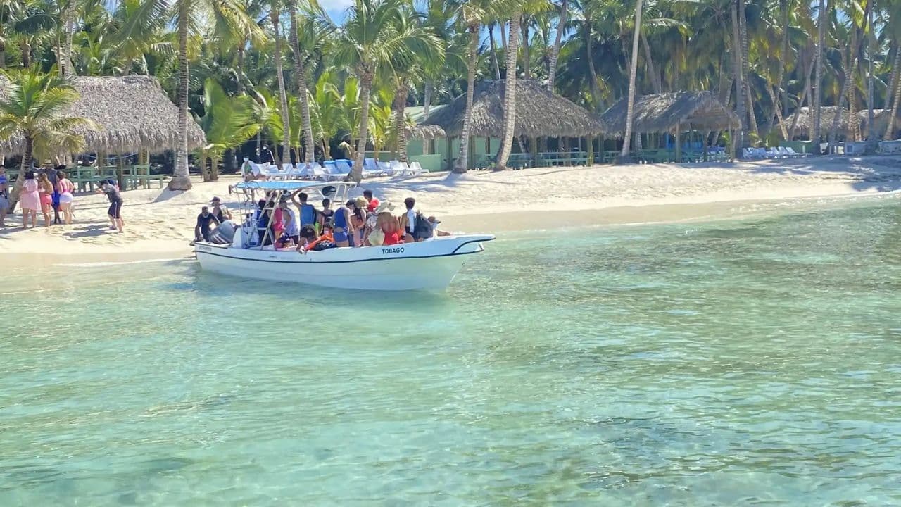 Santo Domingo: Saona Island full-day tour all-inclusive