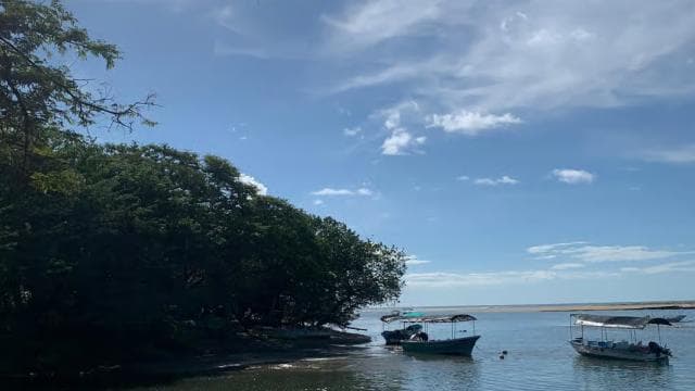 Tamarindo Estuary: Explore by Boat or Kayak - Choose your tour!