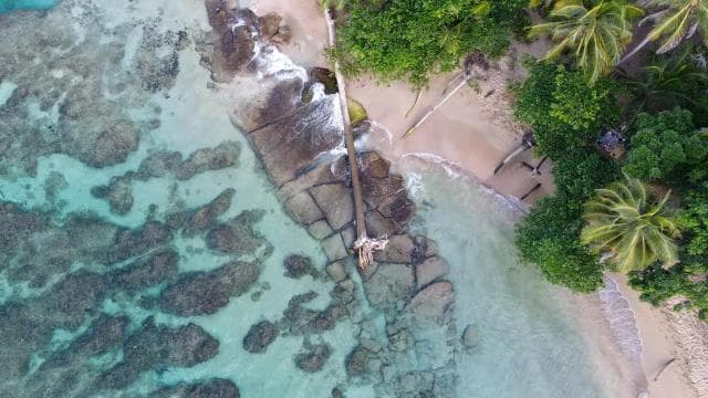 Punta Uva: Clear Kayak Tour with Jungle and Sea Views