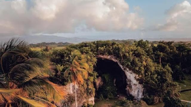 Puerto Rico: Jetski & Tropical Coast Experience
