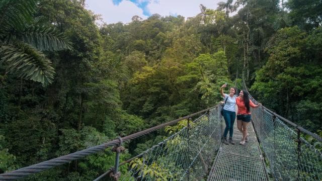 Arenal National Park: Hanging Bridges Small Group Tour
