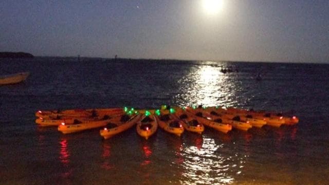 Fajardo: Bioluminescent Lagoon Kayak or Full Moon Kayak Tour